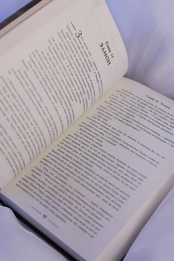 Книга Песнь Первого клинка (Т. С. Эйдж) — 14