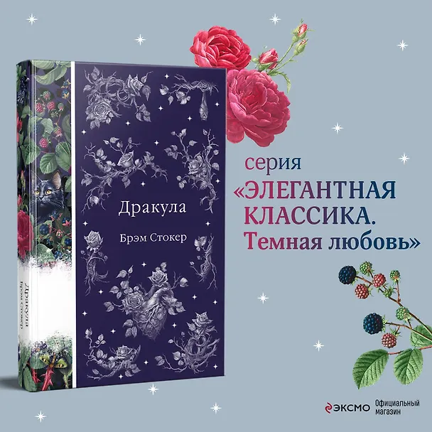 Книга Дракула (Брэм Стокер) — 6