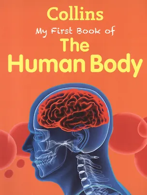 Книга My First Book Of The Human Body (Джон Грин)