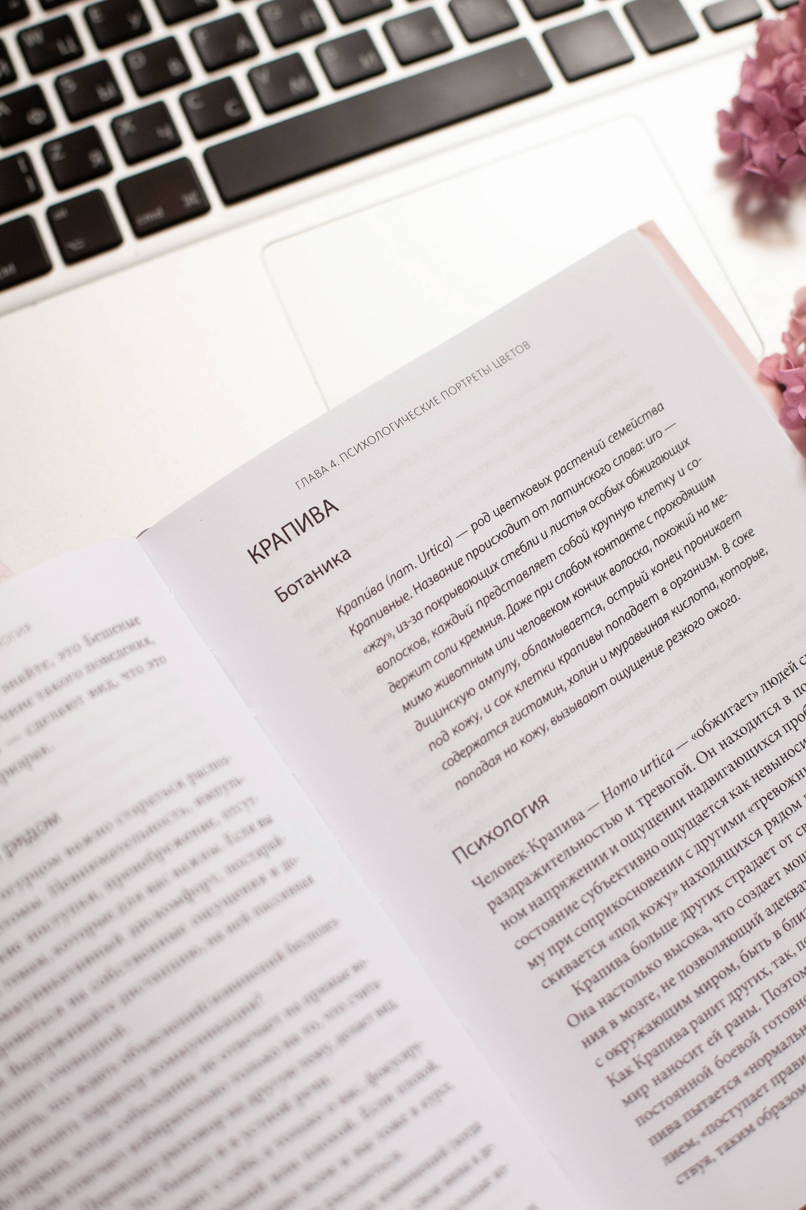 Изображение бумажной книги