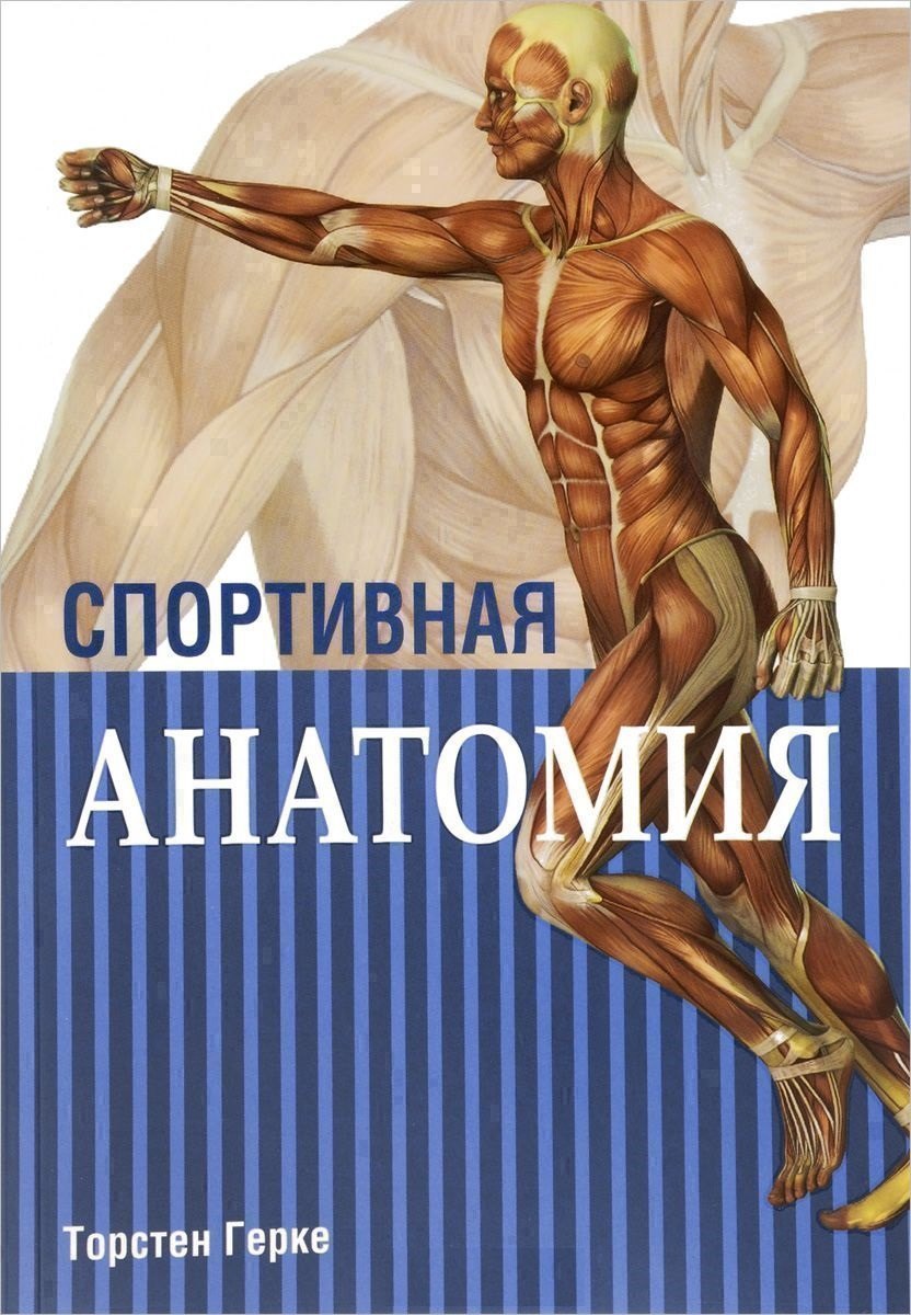 

Спортивная анатомия