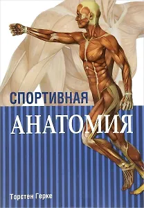 Спортивная анатомия