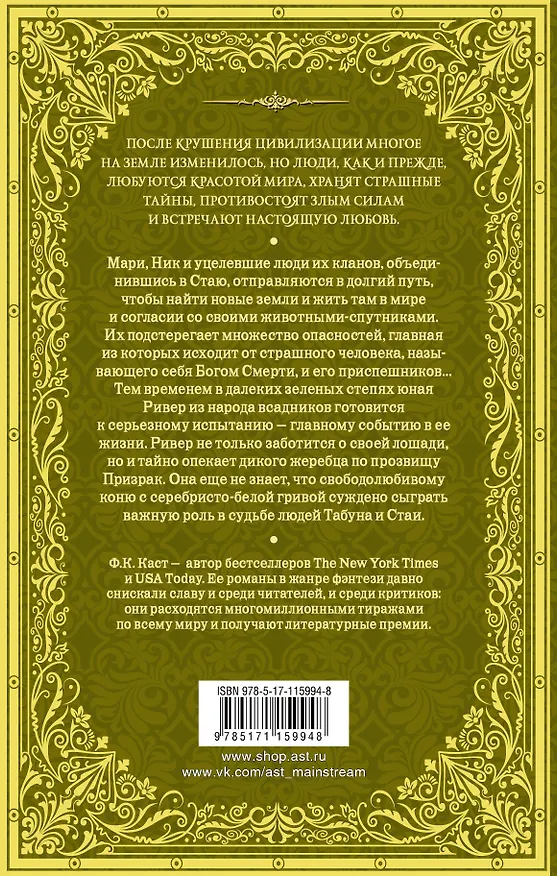 Книга Всадница ветра (Филис Каст) — 2