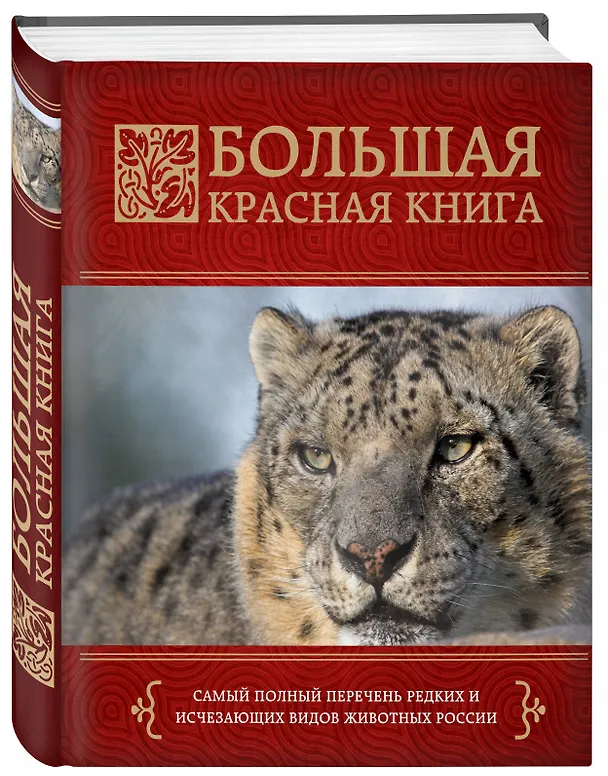 Книга Большая красная книга (Оксана Скалдина) — 4