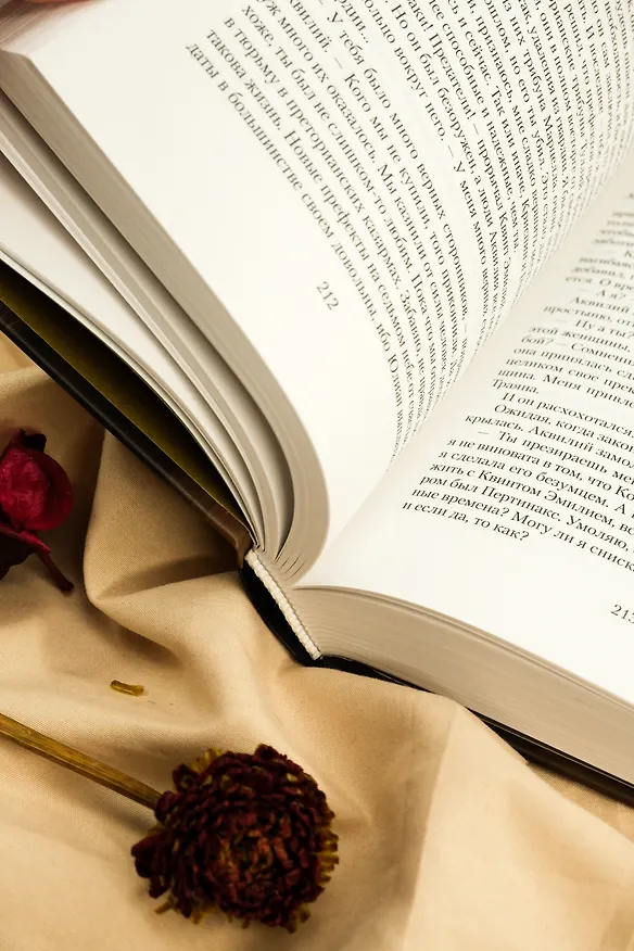 Книга Я, Юлия (Сантьяго Постегильо) — 15