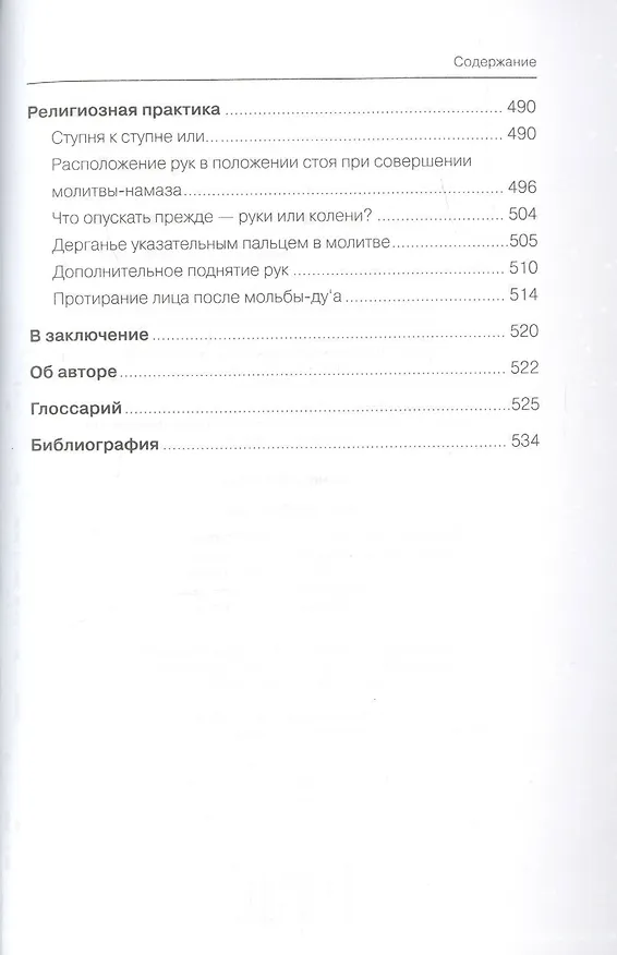 Книга Как увидеть Рай? (Шамиль Аляутдинов) — 4