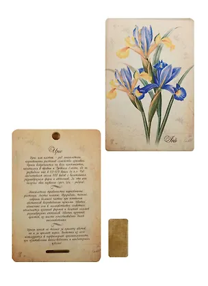 Плакетка Ирис (1PB_001) (18х12) 2508318