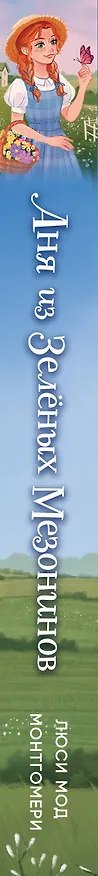 Книга Аня из Зелёных Мезонинов (Люси Мод Монтгомери) — 4