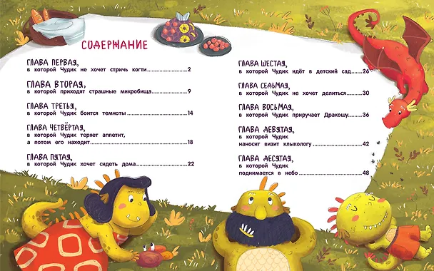 Книга Чудик-нехочуха (Веста Васягина) — 2