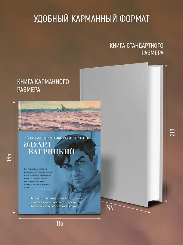 Книга "С громадными звездами наедине..." (Эдуард Багрицкий) — 6