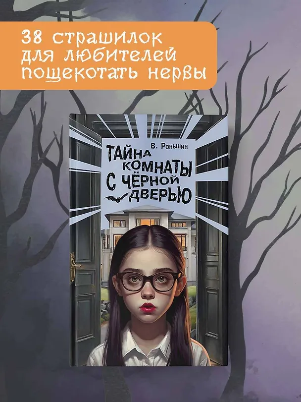 Книга Тайна комнаты с чёрной дверью (Валерий Роньшин) — 5
