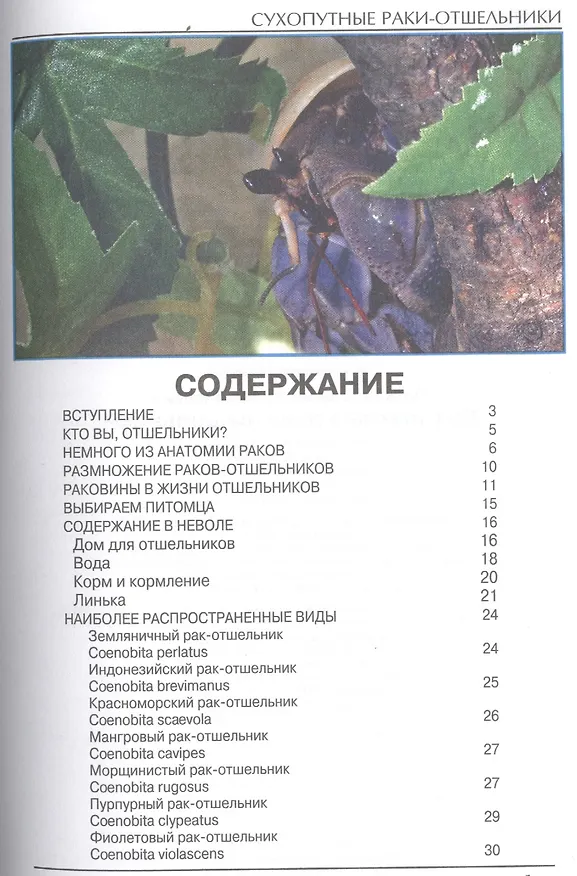 Книга Сухопутные раки-отшельники (цвет) (Александр Гуржий) — 2