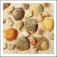 Салфетки Maki бум. сервиров. Ракушки (SLОG013701) (33х33) (20шт) (3сл)