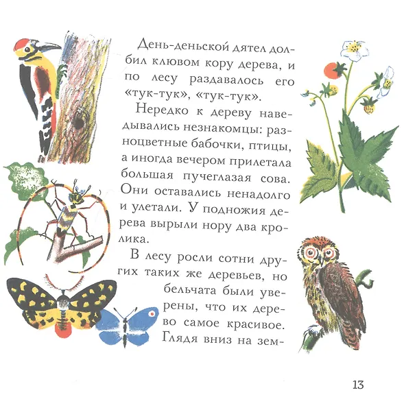 Книга Бельчонок Сорванец () — 4