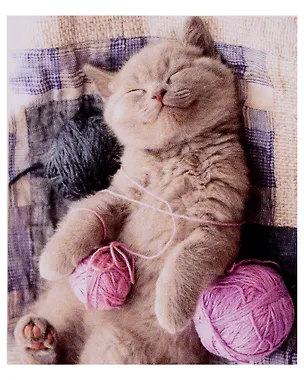 Набор для творчества Алмазная мозаика "Котенок с клубком", 40 х 50 см 3021273