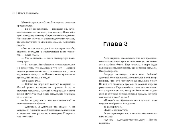 Книга Стиратель (Ольга Лисенкова) — 13