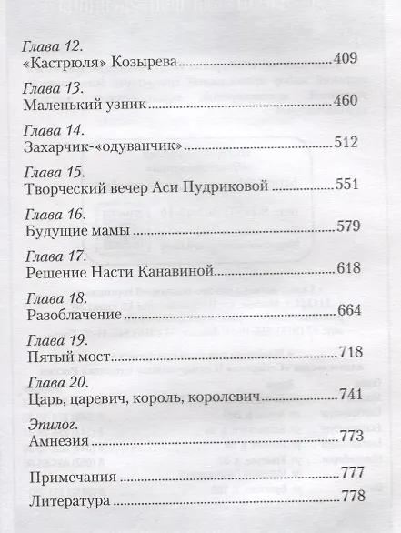 Книга Пятый мост (Вероника Черных) — 3