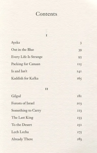 Книга Forest Dark (Nicole Krauss) — 2