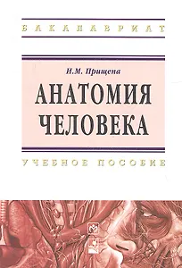 Анатомия человека Уч. пос. (ВО Бакалавр) Прищепа