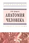 Анатомия человека Уч. пос. (ВО Бакалавр) Прищепа — 2360746 — 1