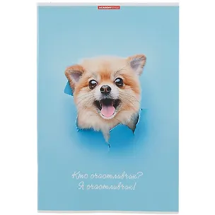 Тетрадь в клетку Academy Style, "Кто молодец?", А4, 80 листов 2901797