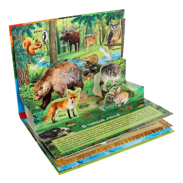 Книга Книга-панорамка «Мир животных» () — 2