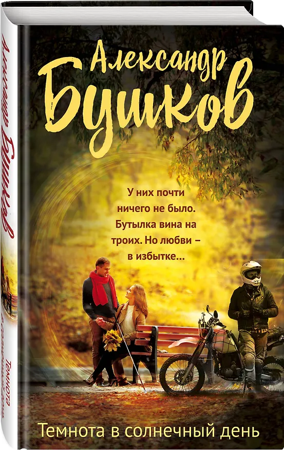 Книга Темнота в солнечный день (Александр Бушков) — 4