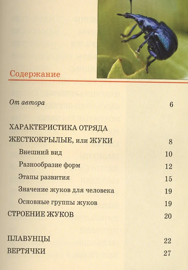 Книга Жуки: Карманный справочник () — 2
