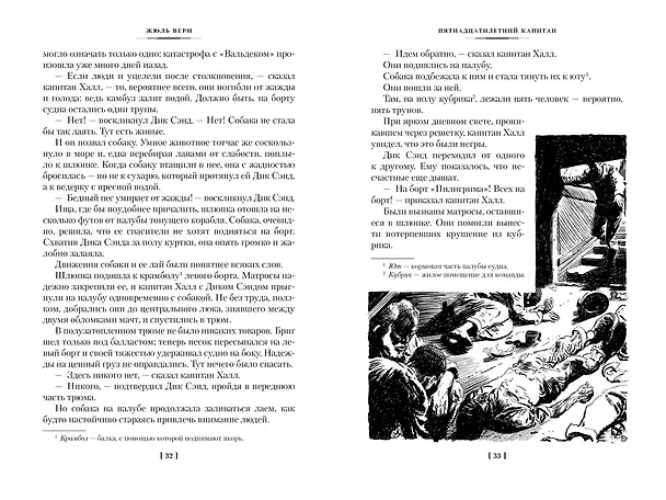 Книга Пятнадцатилетний капитан. Пять недель на воздушном шаре (Жюль Габриэль Верн) — 16