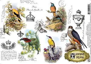 Декупажная карта Музей орнитологии (S-052) (упаковка)