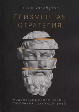 Призменная стратегия. Модель мышления нового поколения руководителей — 2897120 — 1