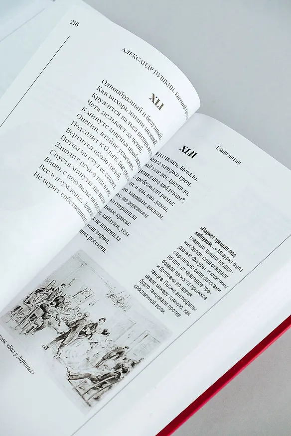 Книга Евгений Онегин (Александр Пушкин) — 10