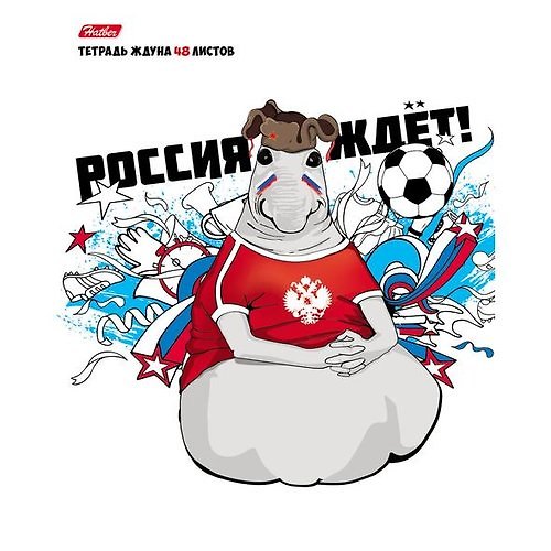 Тетрадь, 48л. А5 клетка Hatber/Хатбер Серия ЖДУН ждёт футбол 5 диз. в ассорт., на скрепке 350971 — 1
