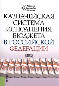 Казначейская система исполнения бюджета в Российской Федерации. Учебное пособие