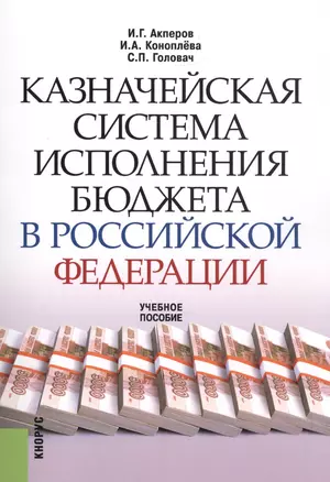 Казначейская система исполнения бюджета в Российской Федерации. Учебное пособие — 2562233 — 1