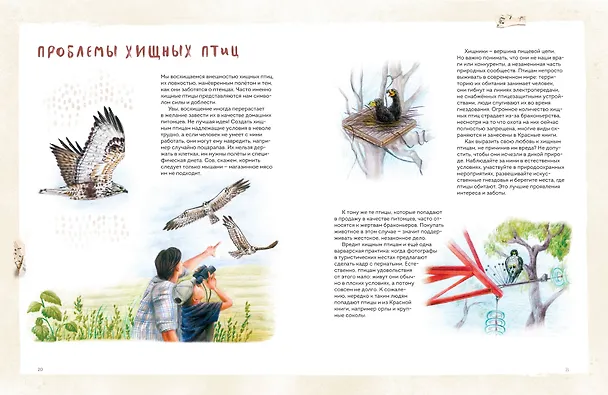Книга Птицы Камчатки и Командорских островов. Где найти и как узнать (Анна Евсеева) — 15