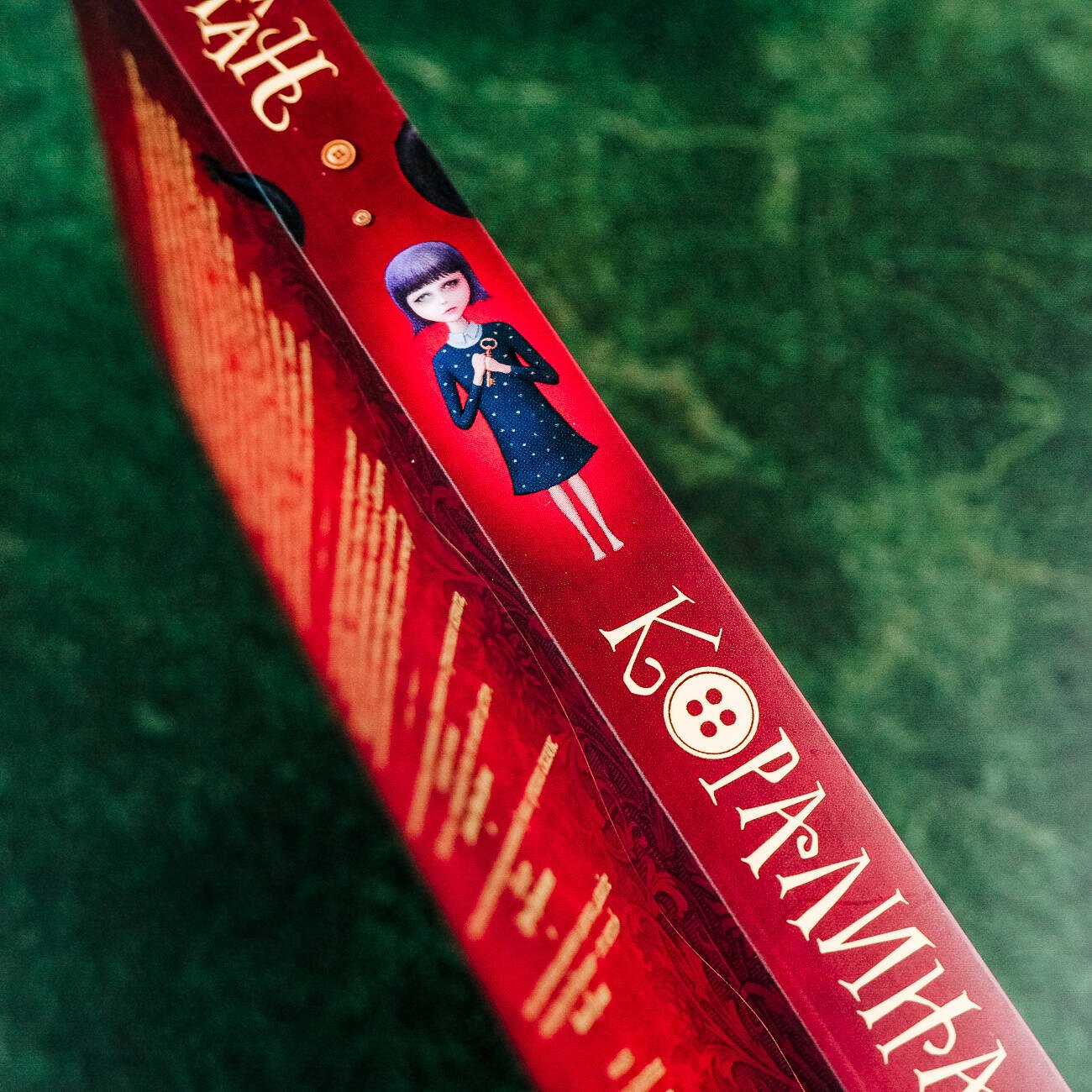 Изображение бумажной книги