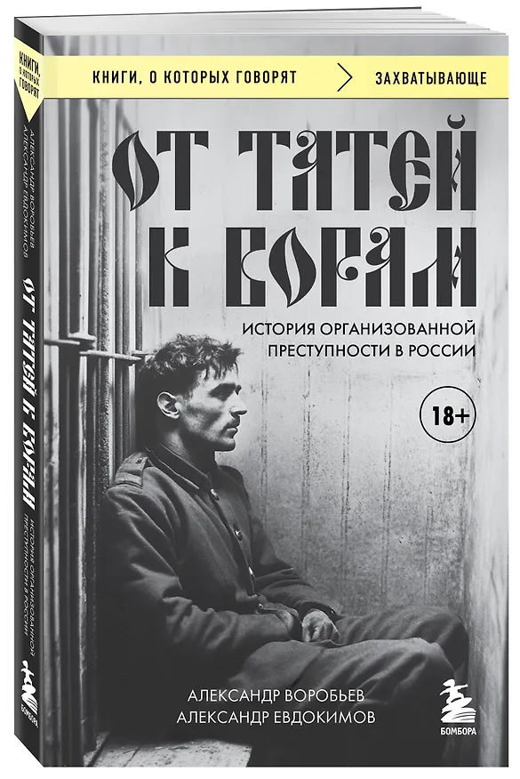 Книга От татей к ворам: история организованной преступности в России. (Александр Евдокимов, Александр Воробьев) — 4