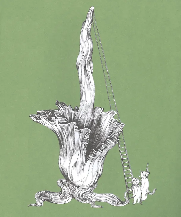 Книга Мяузей. Безумная раскраска от художницы из Японии (Хигучи Юко) — 4