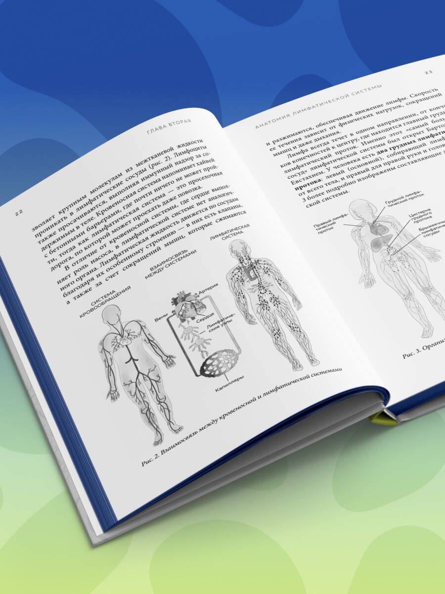 Изображение бумажной книги