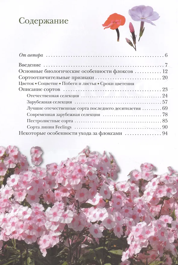 Книга Флоксы метельчатые (Игорь Матвеев) — 2