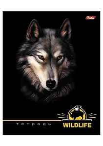 Тетрадь 48л кл. "Wild Life" выб.лак, ассорти, Hatber