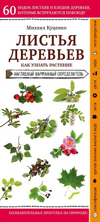Листья деревьев. Как узнать растение. Наглядный карманный определитель