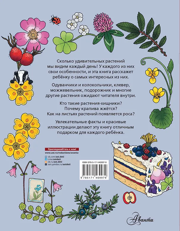 Книга Цветы и растения (Эмма Янссон) — 2