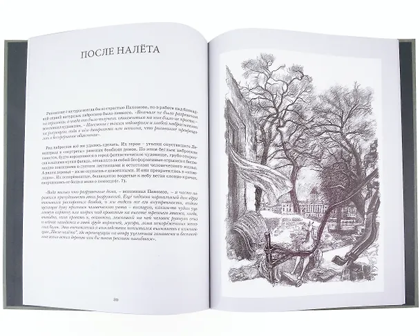Книга В те дни. Ленинградская блокада в рисунках А.Ф. Пахомова (Василиса Пахомова-Герес) — 3