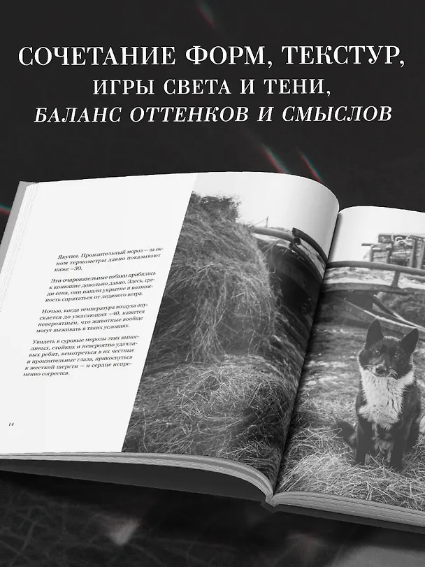 Книга Монохром. Пронзительная красота России в черно-белых фотографиях Ивана Дементиевского (Иван Дементиевский) — 8