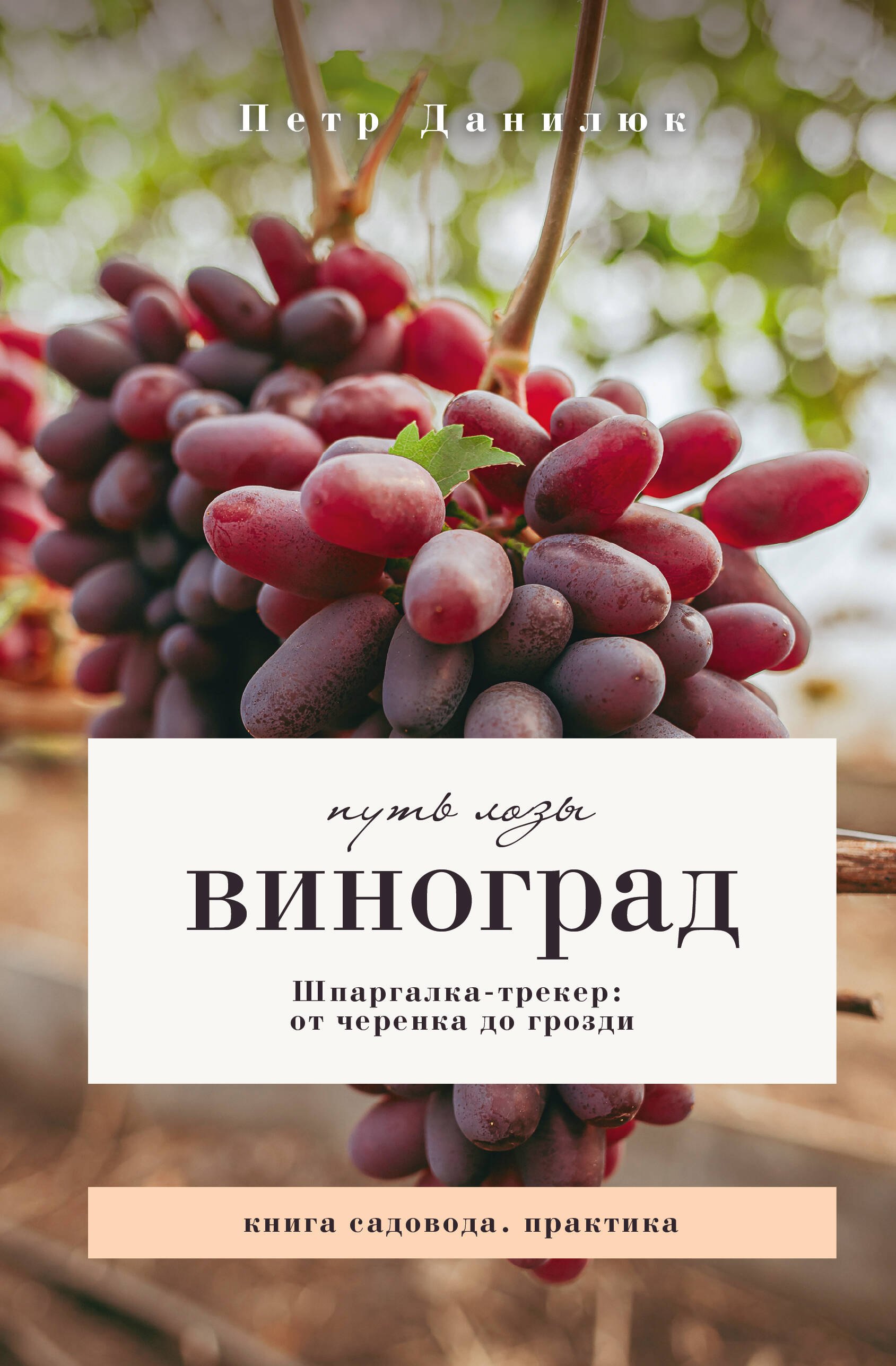 Петрович Данилюк Петр: Виноград. Путь лозы. Шпаргалка-трекер: от черенка до грозди