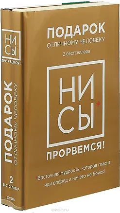 Книга Ни Сы - прорвемся! Подарок, который помогает стать храбрым (Джон Бальдони, Джен Синсеро)