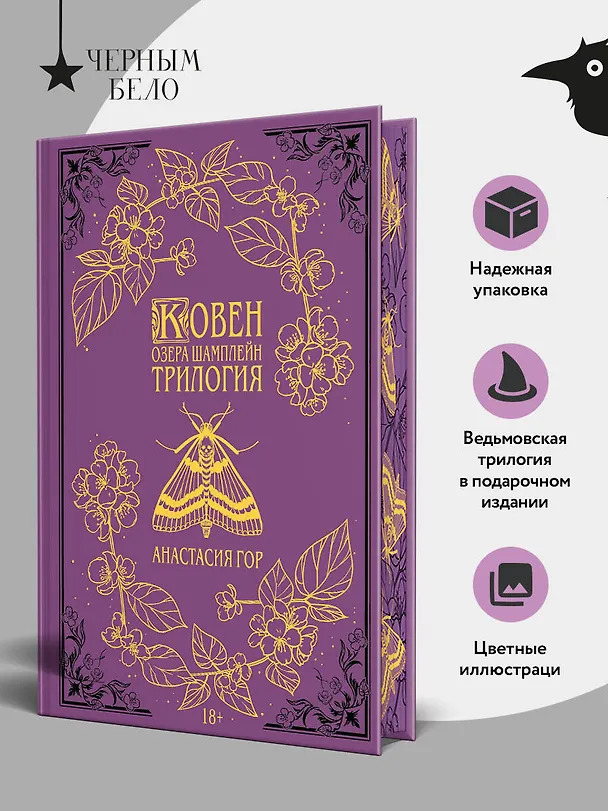 Книга Ковен озера Шамплейн. Трилогия (Подарочное издание) (Анастасия Гор) — 6