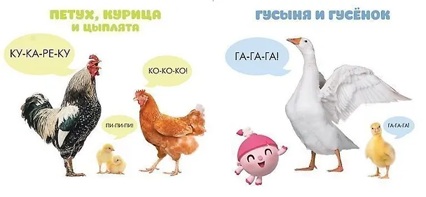 Книга Малышарики. Курс раннего развития 1+. Кто как маму зовёт? () — 3
